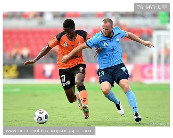 澳超激战：中央海岸水手1-1顽强战平惠灵顿凤凰，雷德梅恩顶级扑救成关键时刻