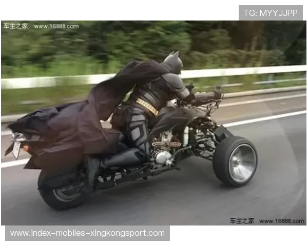 费里组合拳训练速度狂飙