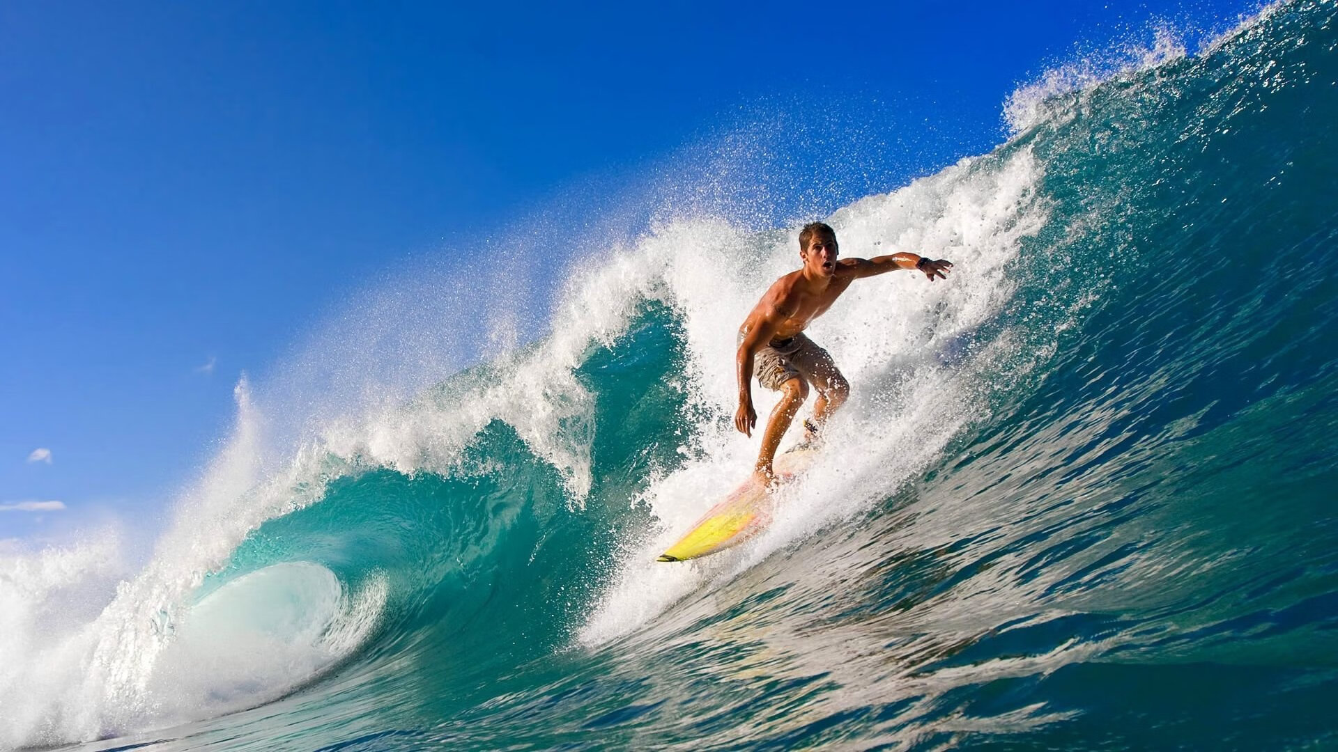 体育明星年度收入排行